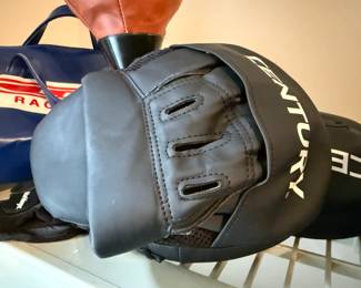 Sparring Gloves