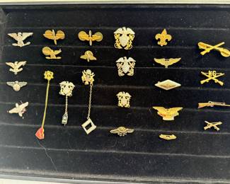Eagles And Rifles Pins