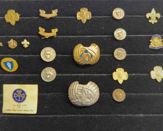 Cub Scouts And Girl Scout Pins