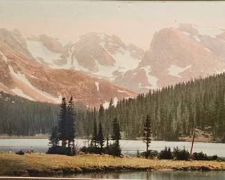 Hand tinted photo