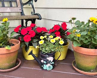 Potted live plants