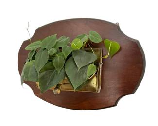 Wall mounted brass planter