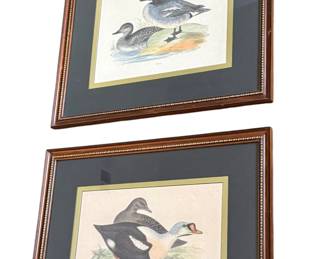 Framed duck prints