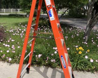 Werner Fiberglass 6 Foot Fiberglass Ladder