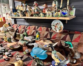 What the quack?! We have even more ducks and mallards!