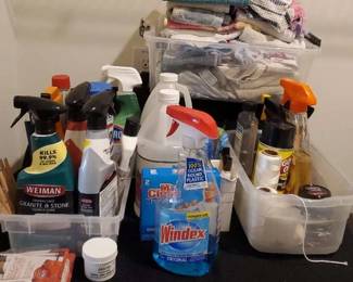 Everything You Need To Clean