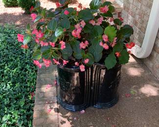 Large flower pot -you must move without dumping dirt