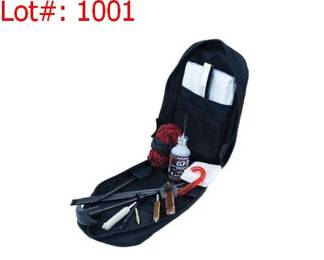 1001 result