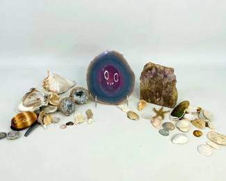 Shells and Stones