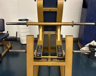 Hack Squat Machine