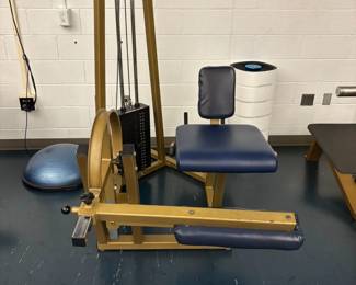 Quad Extension /Hamstring Curl Machine