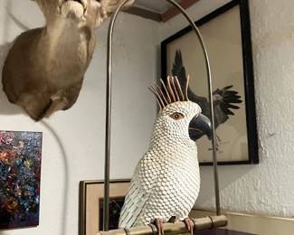 6 Point elk head and Hanging leather white Cockatoo sold separately.