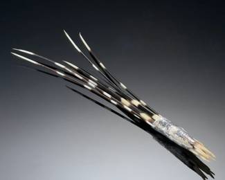 African Porcupine Quills