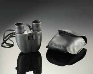 Bushnell 7-15x25mm Zoom Compact Binoculars with Case