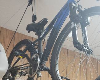 Diamond Cobra bicycle