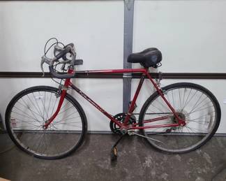 Women's Murray Eliminator rally Bike