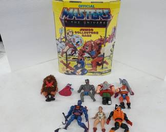 Masters of the universe collecor case with figures