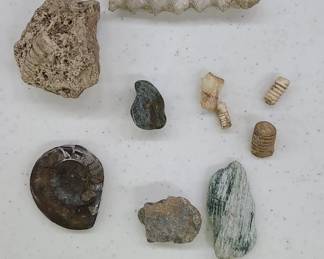 Small assorted fossils and minerals