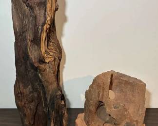 Petrified Wood