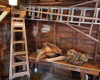 Three Ladders Painting, Orchard Extension