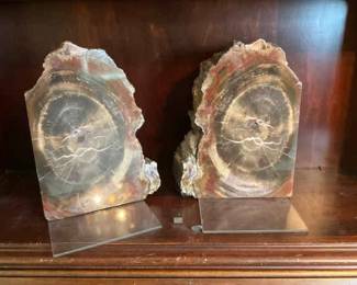 Petrified Wood Bookends