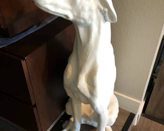 Dog!