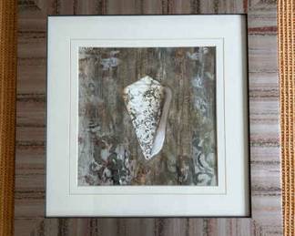 Shell Framed Print