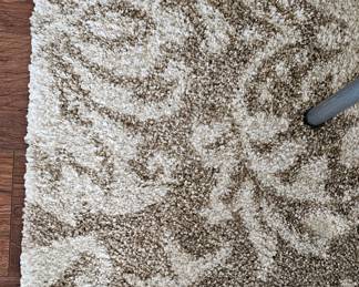 Another smaller area rug