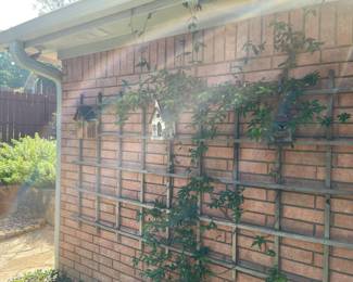 Bird houses