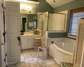 The Master bathroom