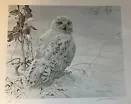 Robert Bateman Artist Proof Snowy Owl and Milkweed #26/56 Excellent Condition