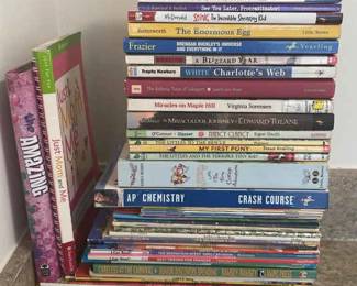 Lot Of Childrens Books