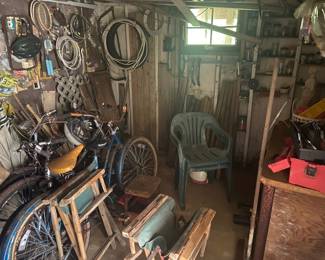 Picker’s paradise in the shed