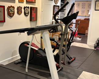 Treadmill, Elliptical with absorption pads