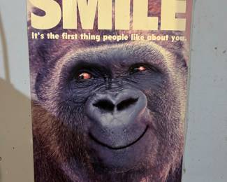 I agree and I love this vintage Poster.