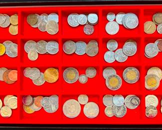 Foreign Coins Tray