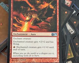 Magic cards(there is an entire chest of these