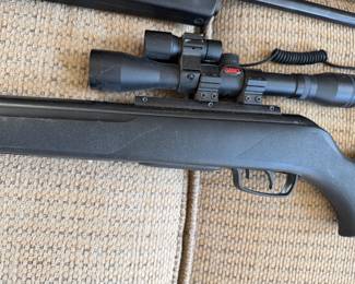 bb gun