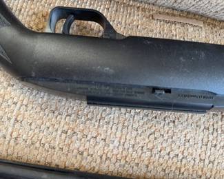 bb gun