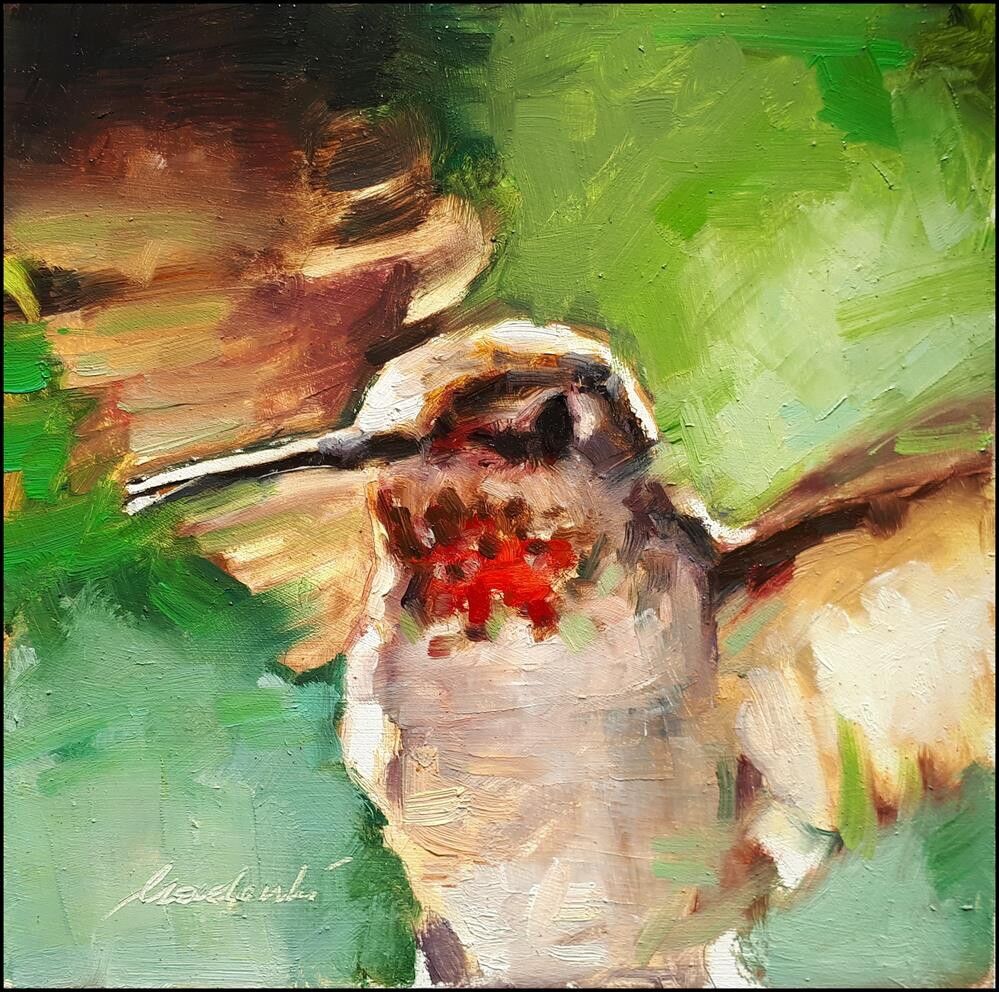 Hummingbird “In a Hover” original oil on panel