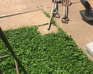Items Located In The Back Yard