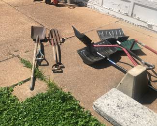Items Located In The Back Yard