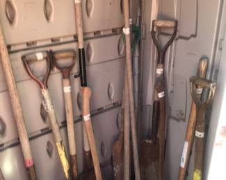 Items Located In The Back Yard