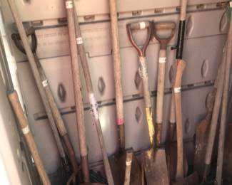 Items Located In The Back Yard