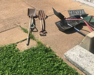 Items Located In The Back Yard