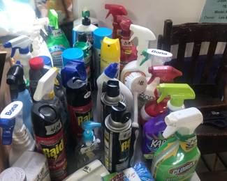 Items Located In The Garage