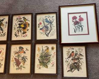 Signed Lithograph H. Howells Authenticated,Bird Prints