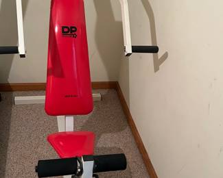 DP Fitness Multi-Gym