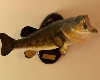 Largemouth Bass Mount