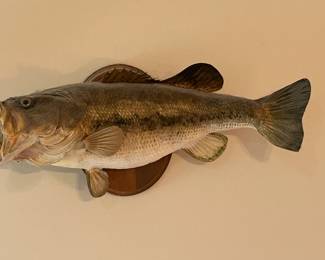 Largemouth Bass Mount